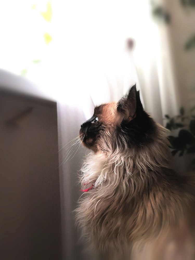 Photograph by Серёга Ануфриев