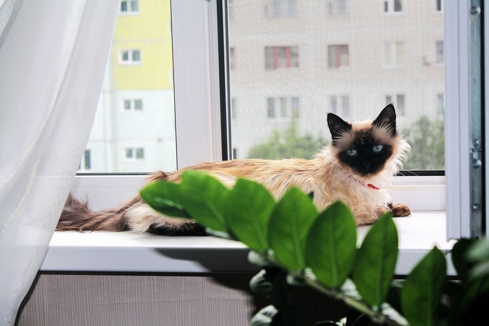 Photograph by Серёга Ануфриев