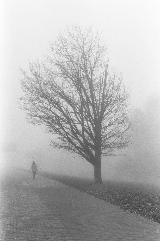 Photograph by Александр Ганецкий