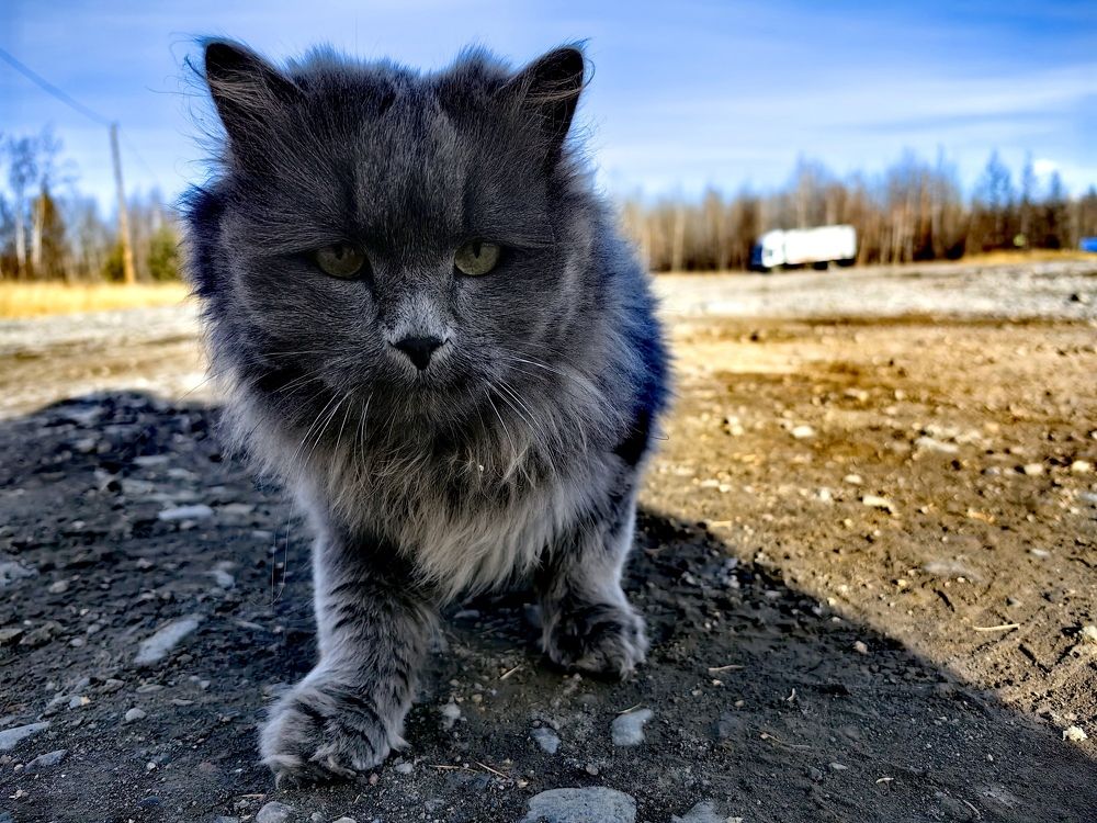 Photograph by Алексей Швайка