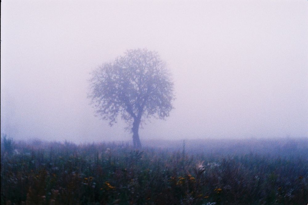 Photograph by Александр Ганецкий