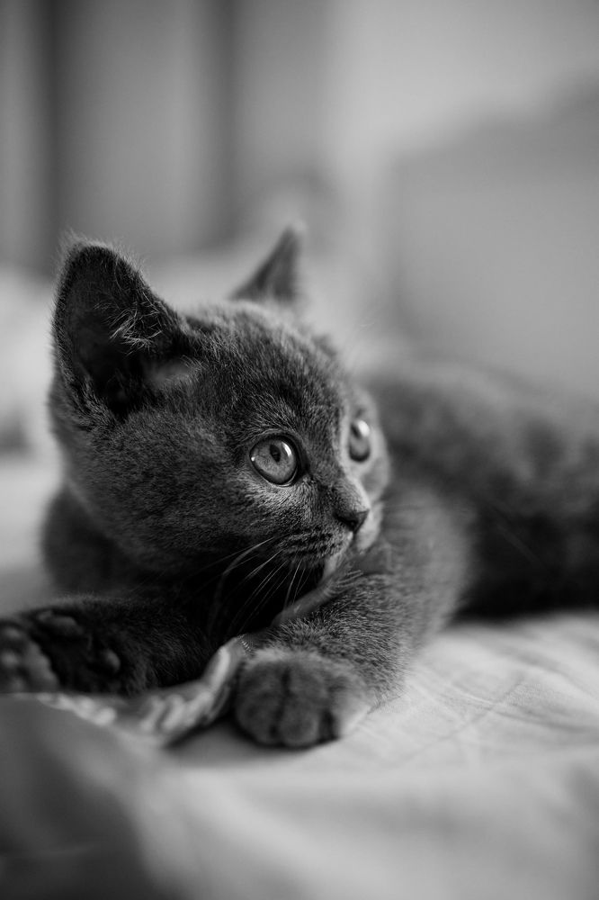 Photograph by Ольга Носкова