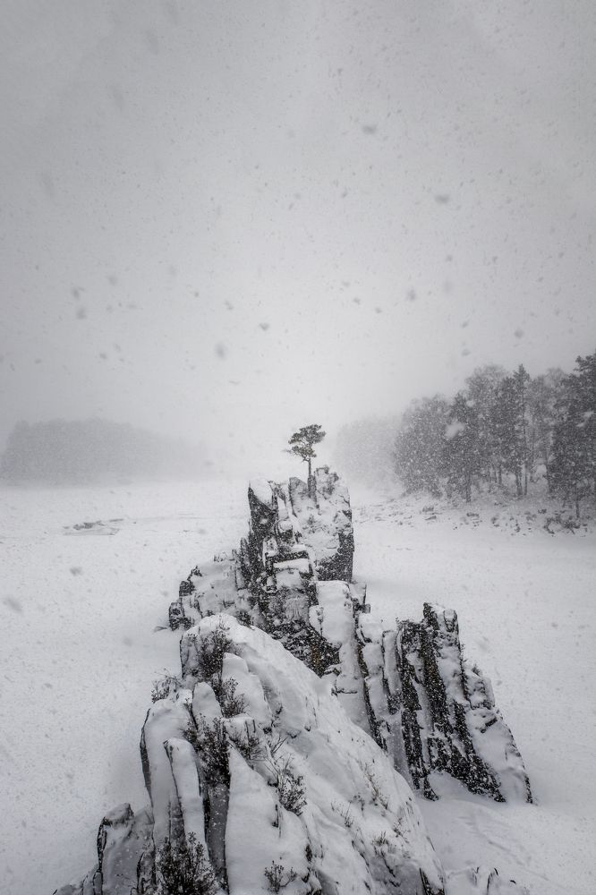 Photograph by Anthony