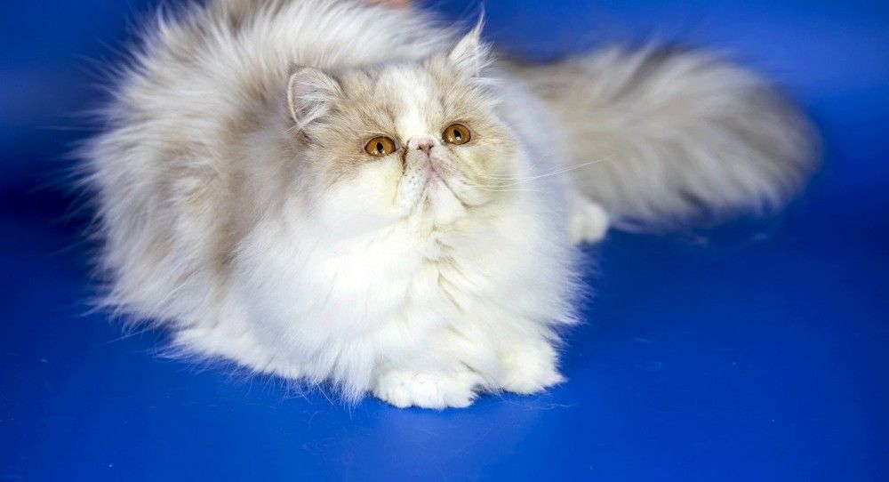 Photograph by Сергей Ключарёв