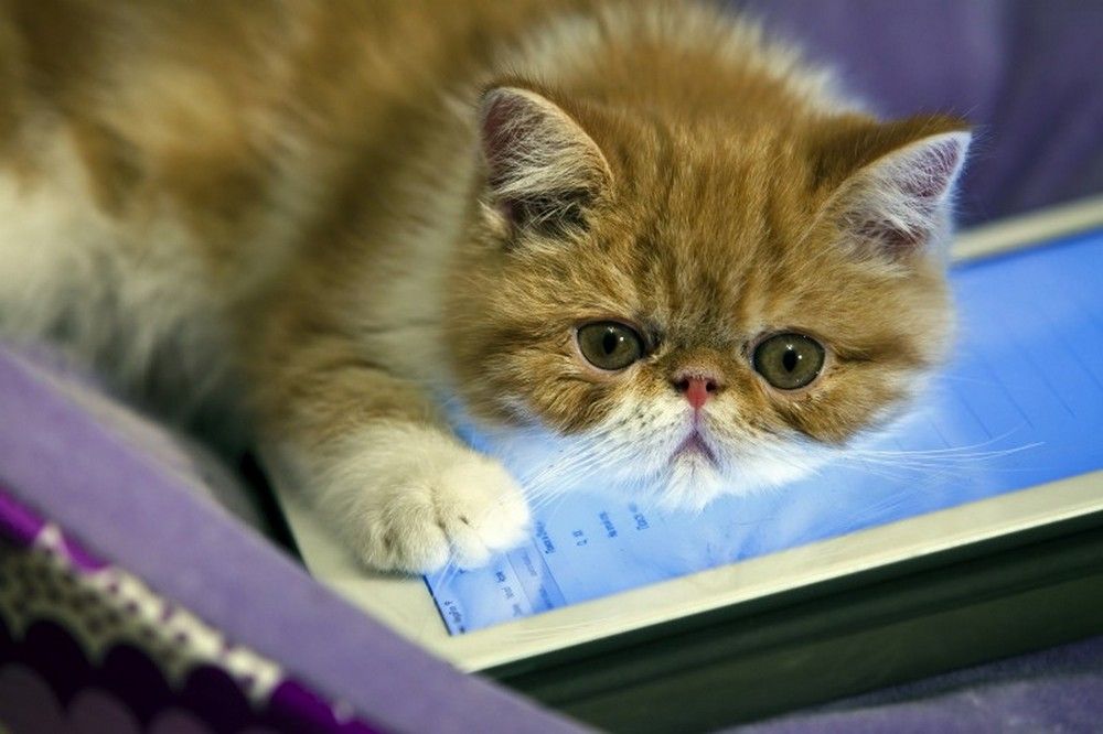 Photograph by Сергей Ключарёв