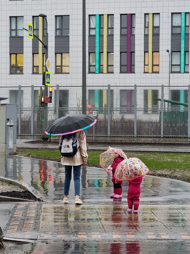 Фотография автора Светлана Алексеева