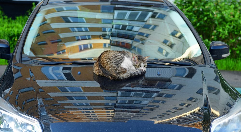 Photograph by Valeriya