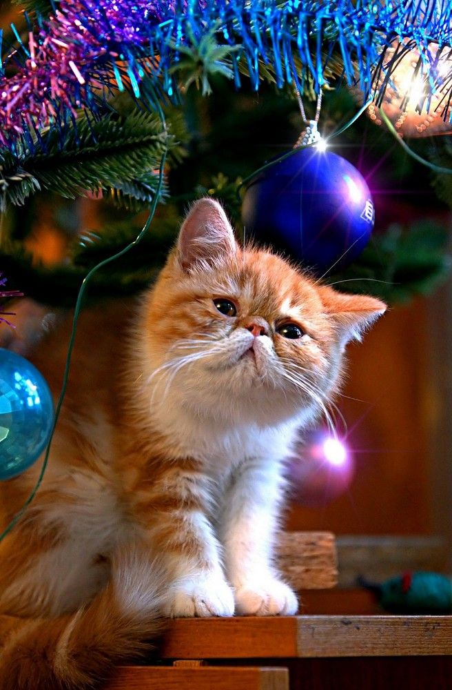 Photograph by Сергей Ключарёв