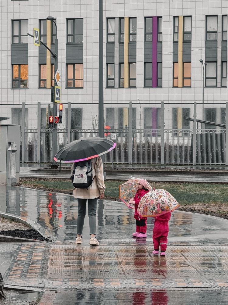 Фотография автора Светлана Алексеева