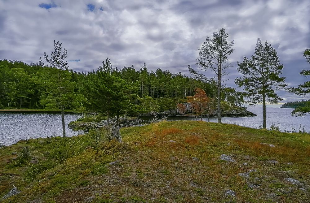 Photograph by Алексей Афонин