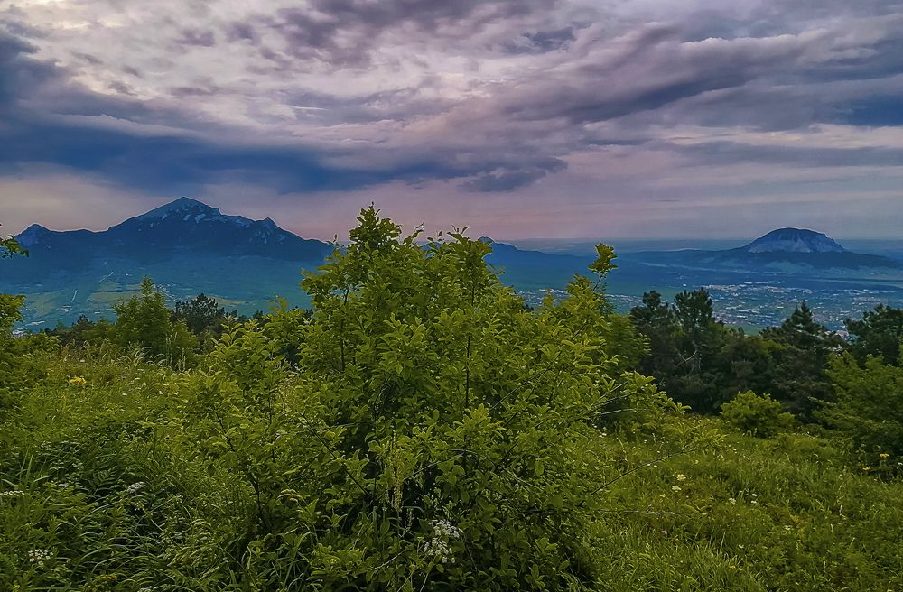 Photograph by Алексей Афонин