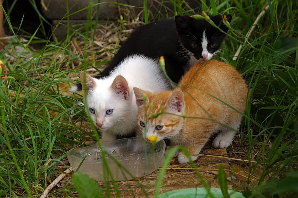 Photograph by Евгений Беленков