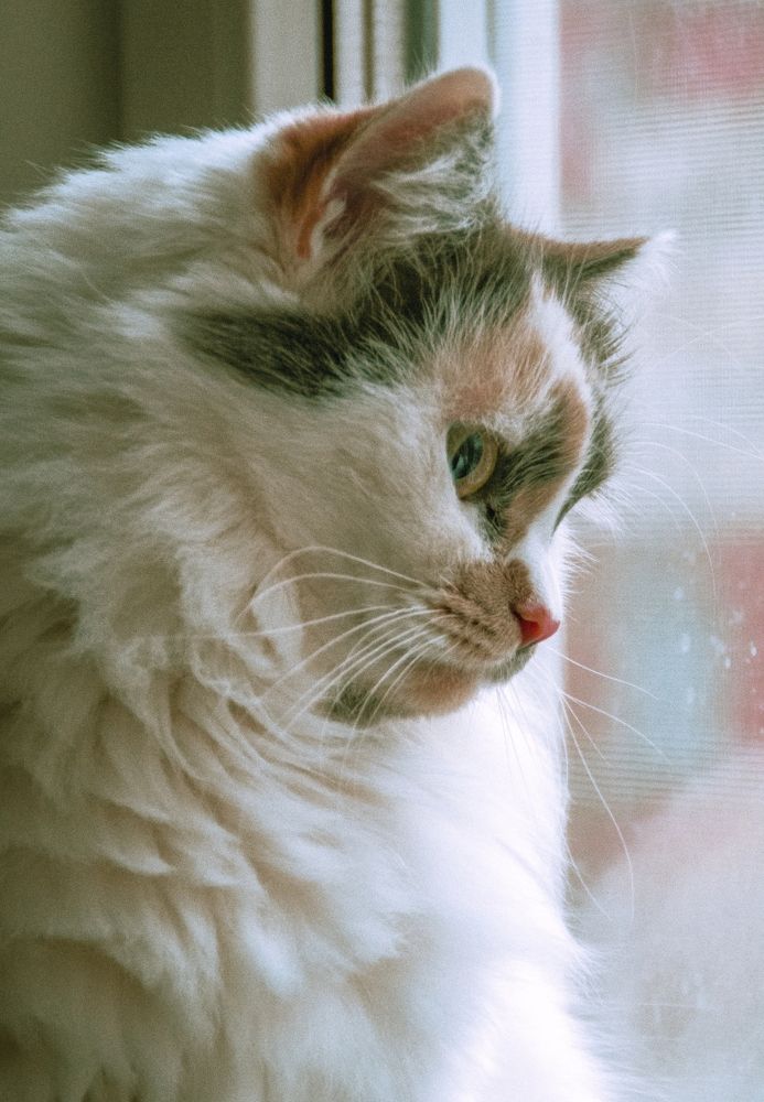 Photograph by Марина Канавченко