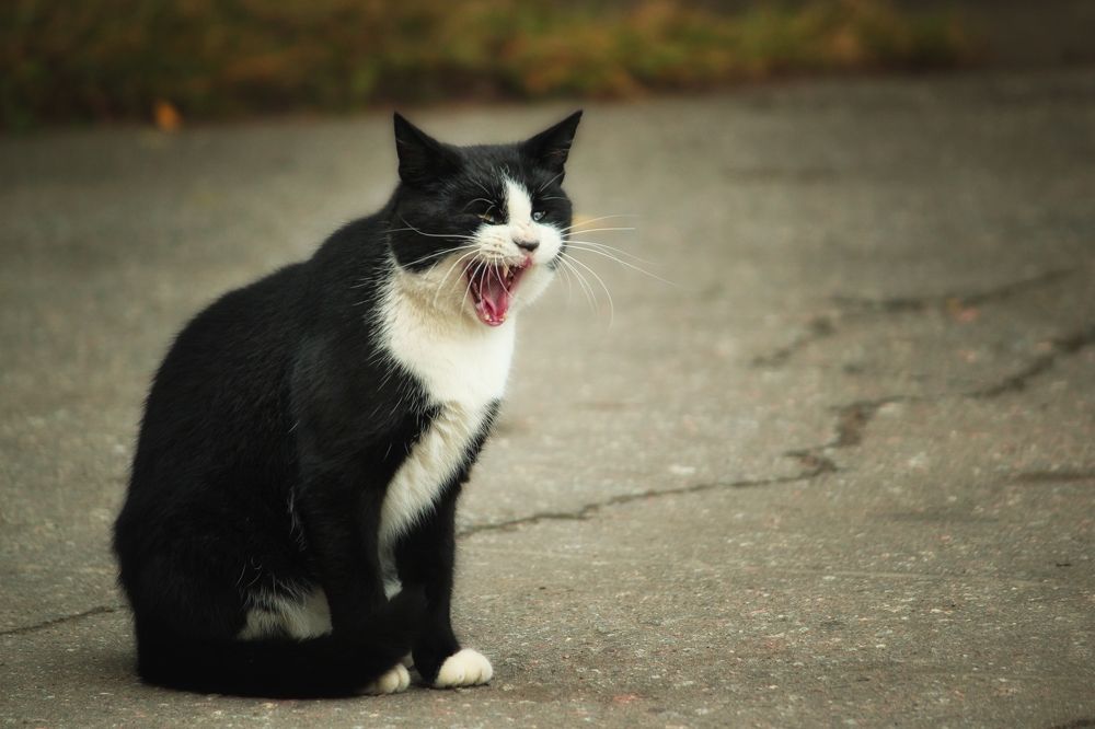 Photograph by Светлана К