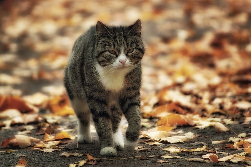 Photograph by Светлана К