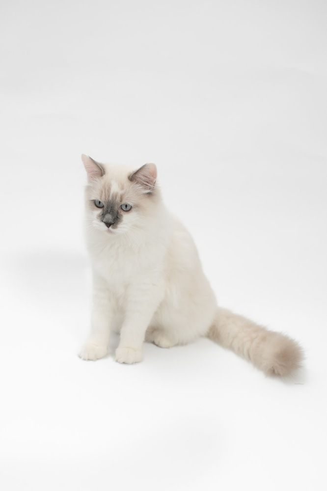 Photograph by Виктория Горловецки