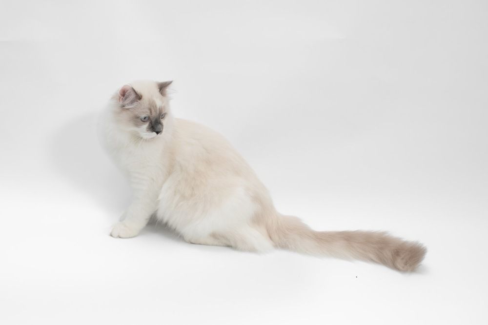 Photograph by Виктория Горловецки