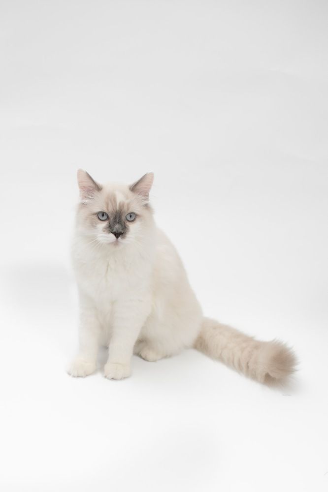 Photograph by Виктория Горловецки