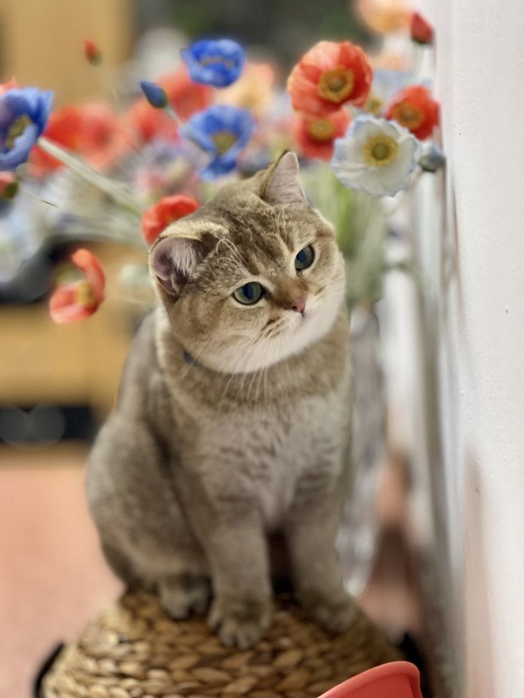 Photograph by Виктория Горловецки