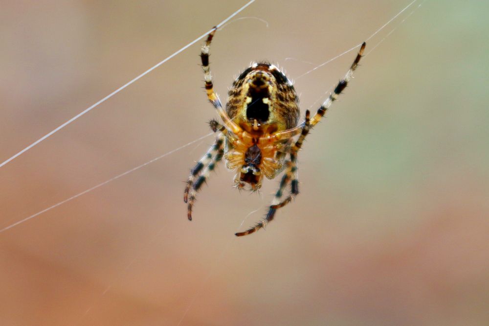 Photograph by Виктор Карпухин