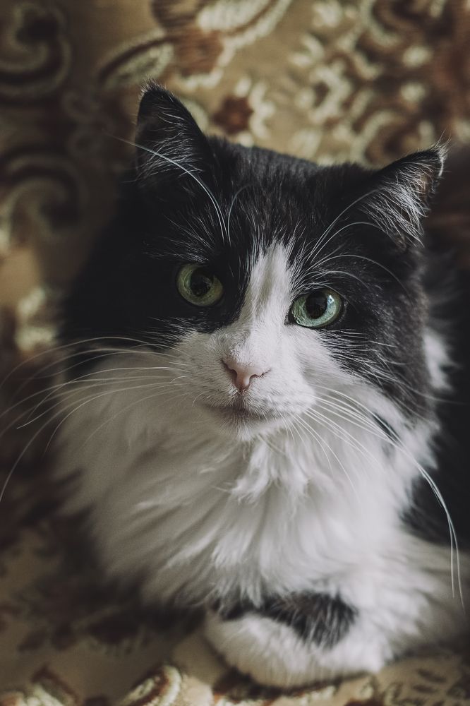 Photograph by Остапенко Алина