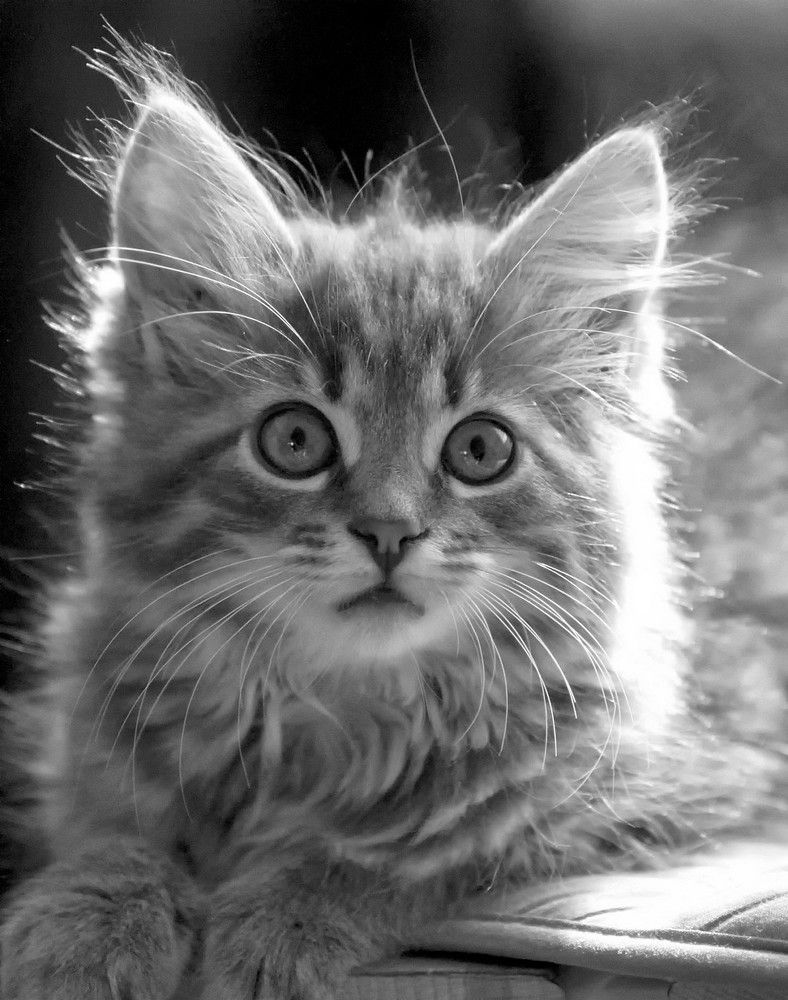 Photograph by Вадим Голосницкий