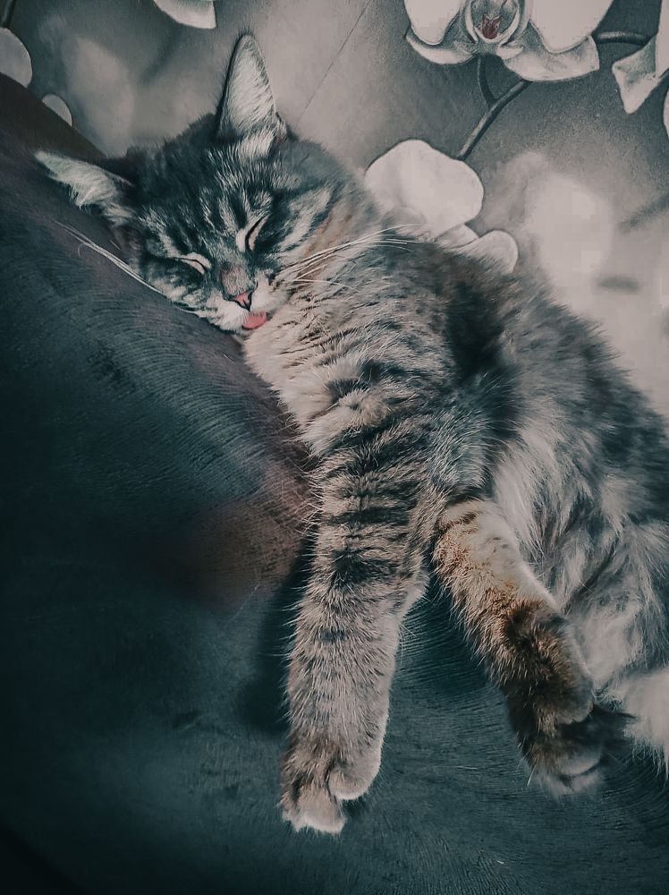 Photograph by Irina Kolotova