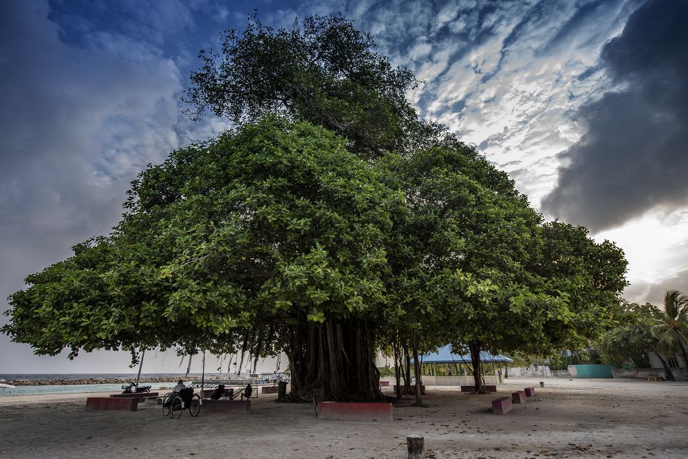 Photograph by Karen Khachaturyants