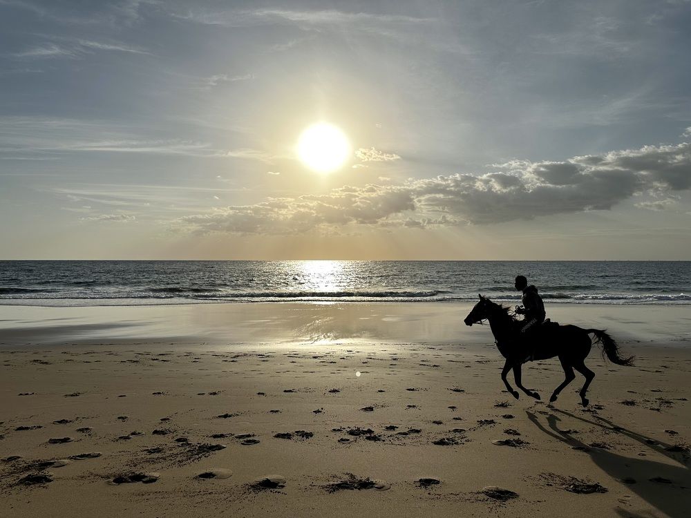 Photograph by Svetlana Rashidova