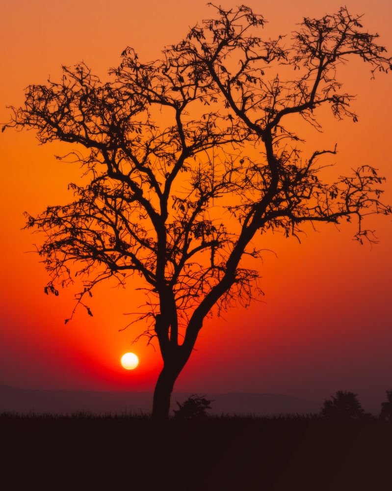 Photograph by Abhijeet Sawant