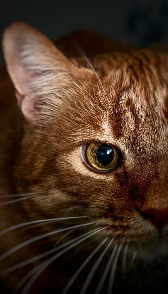 Photograph by Виктория Чернышева