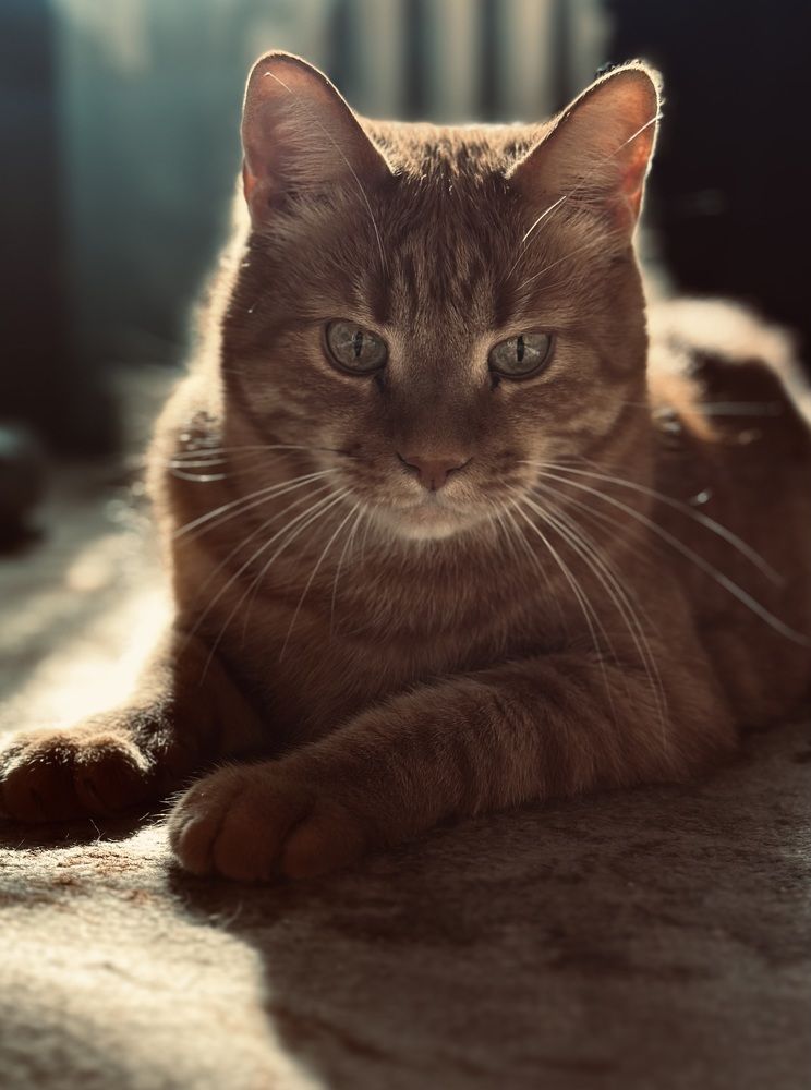 Photograph by Виктория Чернышева