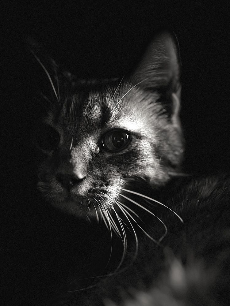 Photograph by Виктория Чернышева