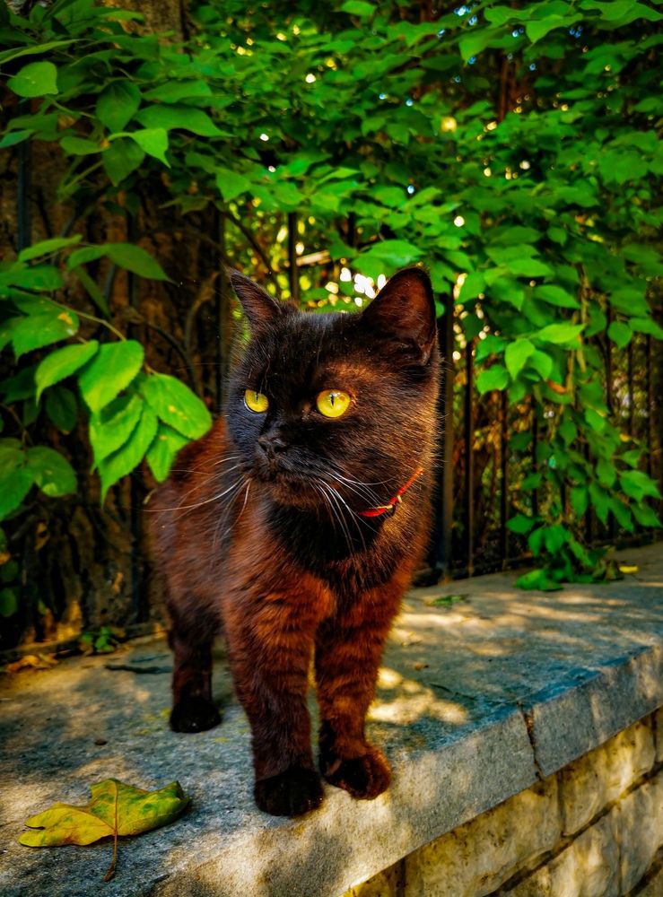 Photograph by Мария Цепилова