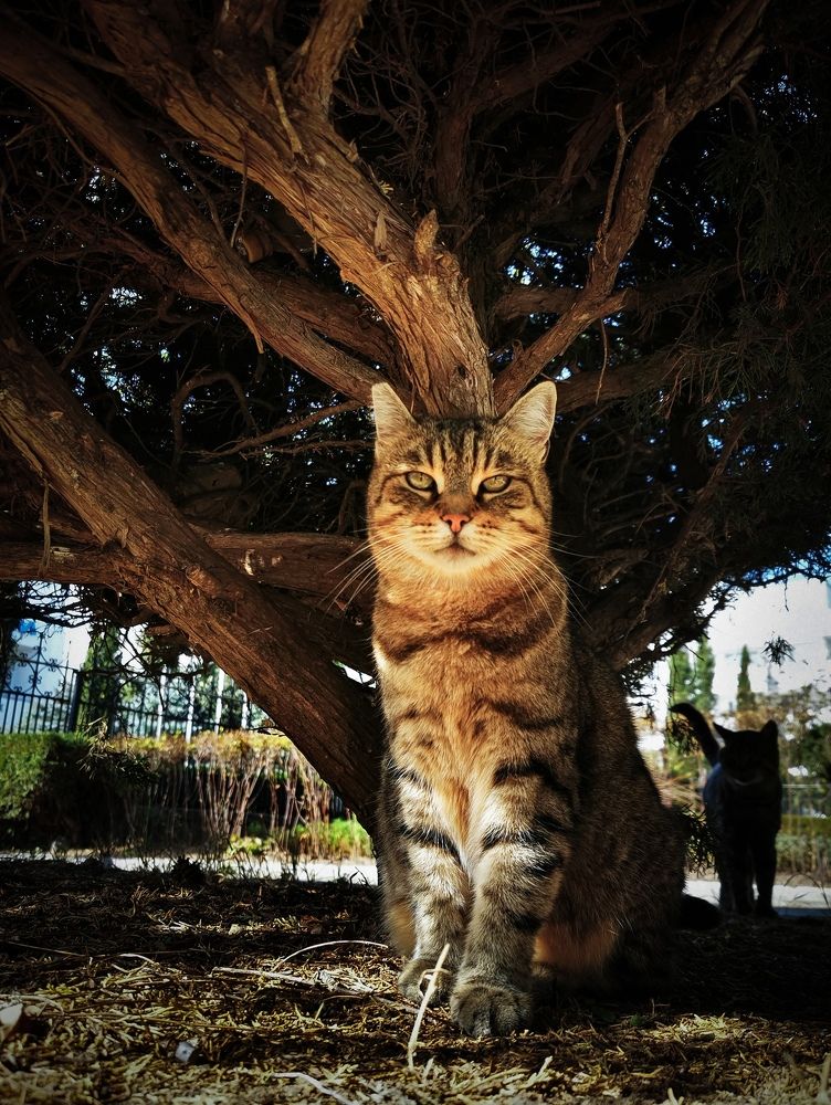 Photograph by Мария Цепилова