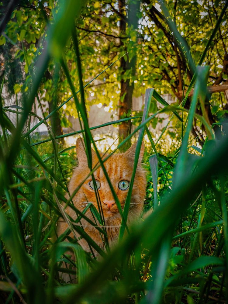 Photograph by Мария Цепилова