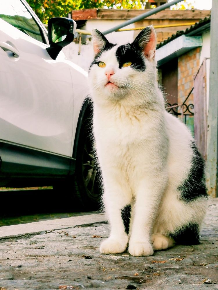 Photograph by Мария Цепилова