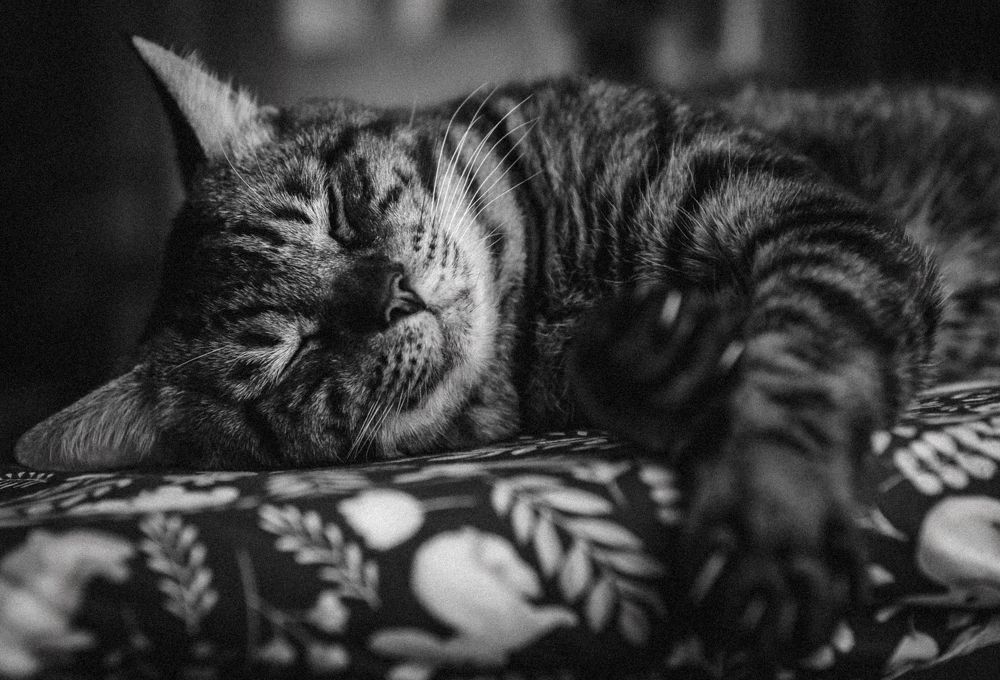 Photograph by Евгений Житников