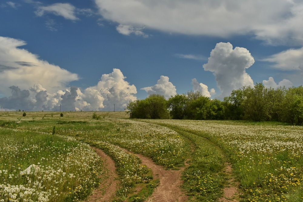 Photograph by Роман Пацкевич