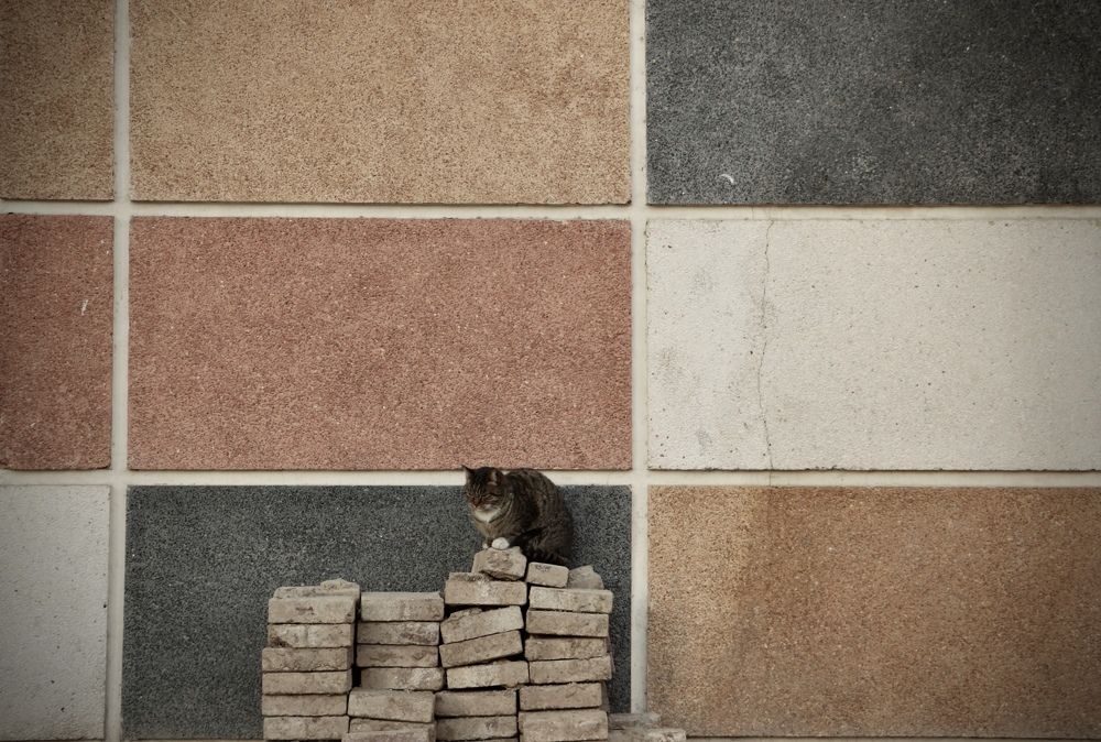 Photograph by Arezoo Samiadel