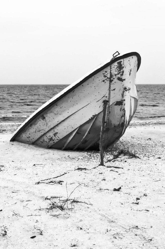 Photograph by Дмитрий Педченко