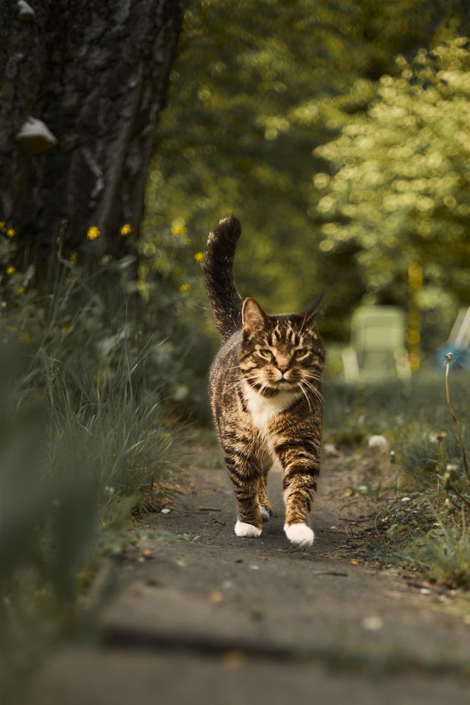 Photograph by Татьяна Полянская