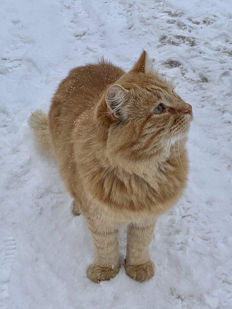 Photograph by Наталья Бирук