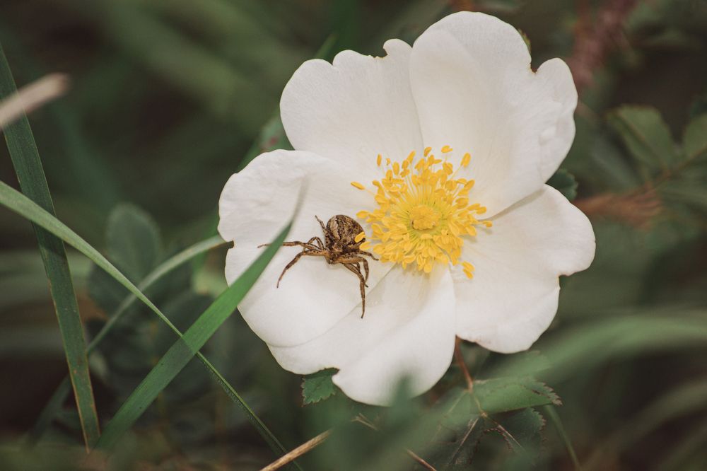 Фотография автора Олег Васильев