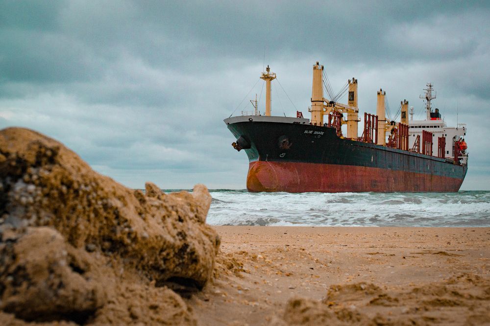 Фотография автора Олег Васильев