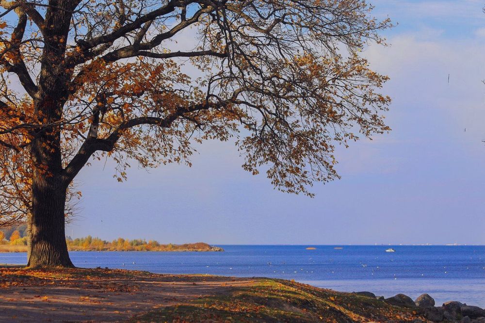 Photograph by Татьяна Бравая