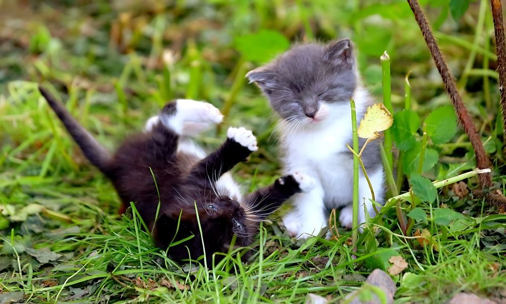 Photograph by Татьяна Слесарева