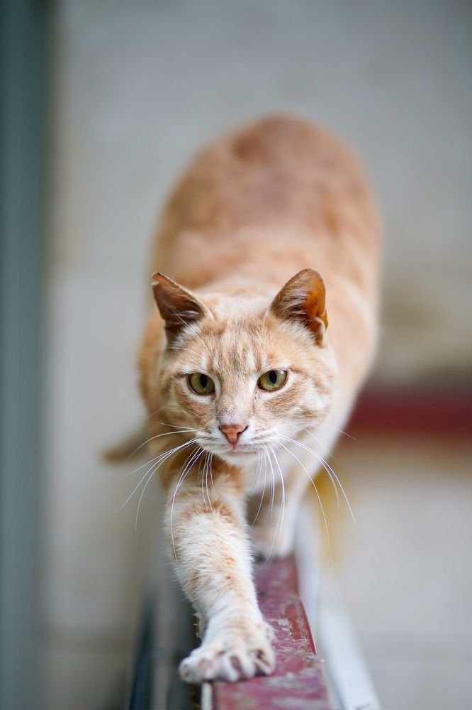 Photograph by Павел Глазков