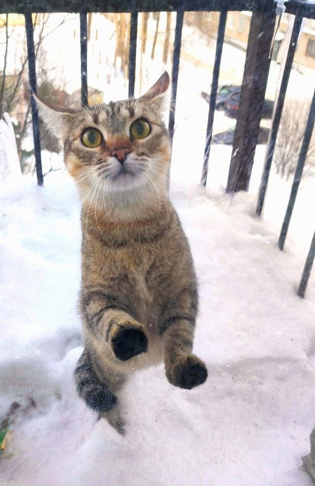 Photograph by Людмила Ваганова