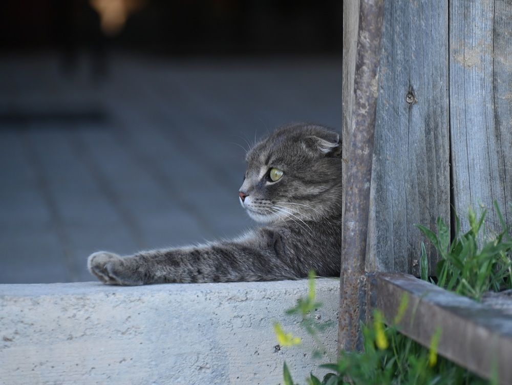 Photograph by Ольга Пумочка-13